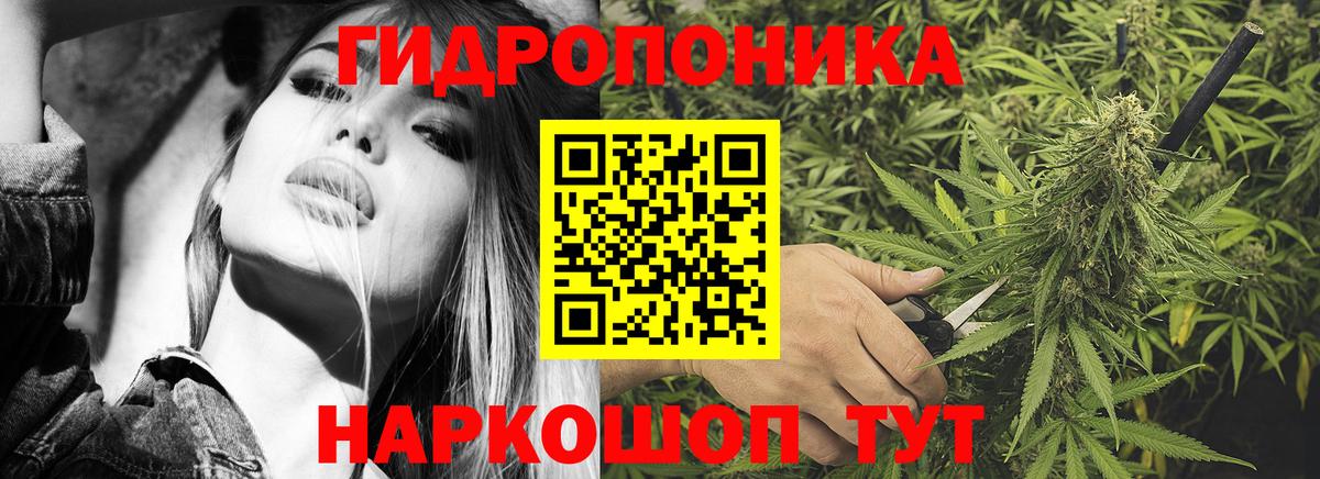 Канабис конопля Россошь